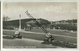 Münsingen - Hörnle - Foto-Ansichtskarte - Münsingen