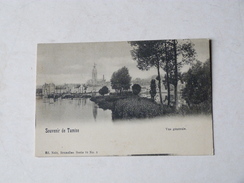 SOUVENIR DE TAMISE    VUE GENERALE - Temse