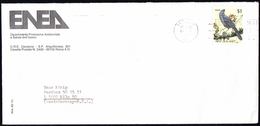 ARCTIC, ITALIA, ENEA-cover Over Christchurch 1987 With Letter, Look Scans !! 20.3-28 - Spedizioni Antartiche