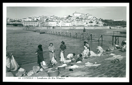 COIMBRA - LAVADEIRAS - Lavadeiras No Rio Mondego ( Ed. LOTY Nº 84) Carte Postale - Coimbra