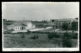 SOBRAL DE MONTE AGRAÇO - Vista Parcial ( Ed. Gevaert) Carte Postale - Lisboa
