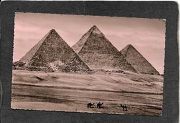 Egypt-Three Pyramids"The Great Sphinx Of Giza 1950s - Antique Postcard - Pyramids