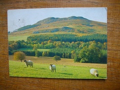 Little Sugar Loaf Mountain , Co. Wicklow - Andere & Zonder Classificatie