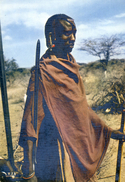 Kenia - Masaï  Warrior - Kenya