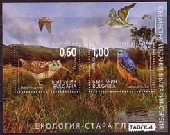 BULGARIA - 2009 - Ecology - Oiseaux - Emision Commune - Bulgarie - Serbien - Bl Obl - Usados