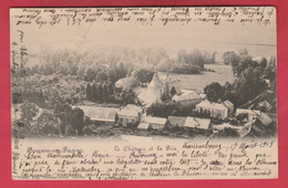 Boussu-en-Fagne - Le Château Et La Pré ... Joli Panorama Du Village - 1903 ( Voir Verso ) - Couvin