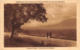 38-TULLINS- LA PLAINE DE TULLINS- UNE PARTIE DE LA NOYERAIE- FEDERATION DES SYNDICATS DE PRODUCTION DE NOIX DE GRENOBLE - Tullins