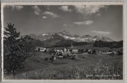 Schwellbrunn Mit Säntis - Photo: Gross No. 20095 - Schwellbrunn