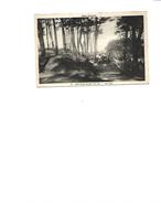 Delcampe - CP DEPT 17 Ronce Les Bains La Cepe La Tremblade - La Tremblade