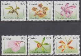 1995.242 CUBA MNH 1995. Ed.4019-24 ORQUIDEAS ORCHILD. VENDIDA EN CUC SOLAMENTE. - Neufs