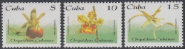 1996.76 CUBA MNH 1996. Ed.4091-93 ORQUIDEAS ORCHILD. VENDIDA EN CUC SOLAMENTE. - Neufs