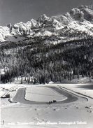 Jeux Olympiques 1956. Misurina. Anello Olimpion. Pattinaggio Di Velocità. - Olympic Games