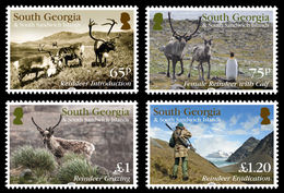 South Georgia 2014 - Faune, Rennes - 4v Neuf (MNH) - Georgias Del Sur (Islas)