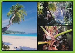 SEYCHELLES - Anse Intendance Mahe Vallée De Mai Praslin Coco De Mer - Seychellen