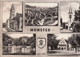 G , Cp , 68 , MUNSTER , Multi-Vues - Munster