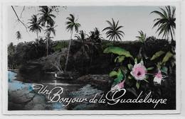 CPSM 9 X 14 Guadeloupe Colonies Françaises Non Circulé éditeur Parmin Candalen M8 - Other & Unclassified