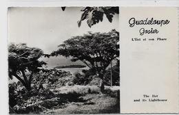 CPSM 9 X 14 Guadeloupe Colonies Françaises Non Circulé éditeur Candelen AB BIS Gosier - Andere & Zonder Classificatie