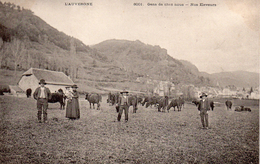 15....CANTAL.....GENS DE CHEZ NOUS...NOS ELEVEURS - Autres & Non Classés