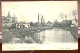 Cpa Trazegnies  1906   étang Du Moulin - Courcelles