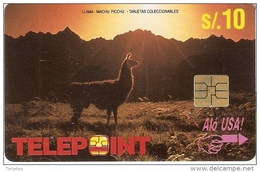 TARJETA DE PERU DE UNA LLAMA DE SUDAMERICA (TELEPOINT) - Peru