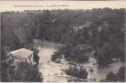 AIGREFEUILLE - La Vallée De La Maine - Maison - Aigrefeuille-sur-Maine