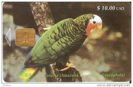 TARJETA DE CUBA DE UN LORO VERDE (COTORRA-PARROT) PRIMERA EMISION - Papageien