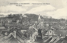 Souvenir De Grammont.  -   Panorama De La Ville Haute - Geraardsbergen