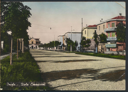 °°° 2946 - IMOLA - VIALE CAPPUCCINI (BO) 1956 °°° - Imola