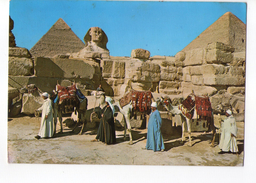 U486 Postcard: > EGYPT, Gize, The Great Sphinx And Keops Pyrmid (Piramide) + Cammelli Camel Chameau - Pyramids