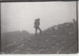 Romania - Climbing - Sheepfold 105 X 73 Mm - Climbing