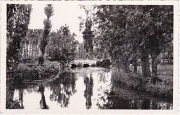 MAROLLES-les-BRAULTS - L'Orne Saonoise Au Pont D'Effe - CPSM PF - Marolles-les-Braults