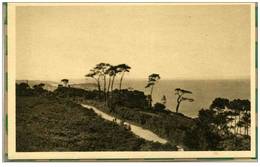 Nevezilio En Ploare Par Douarnenez (finistere) De La Colonie, Vue Sur La Campagne - Névez