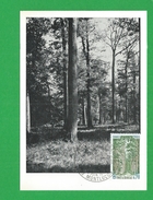 FRANCE CARTE MAXIMUM  N° 1886 Protection De La Nature Et De L'environnement Theme Montlucon Arbre Foret - 1970-1979