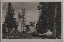 Bachtel-Kulm (1119 M) Aussichtsturm - Animee - Hinwil - Photoglob No. 07860 - Hinwil