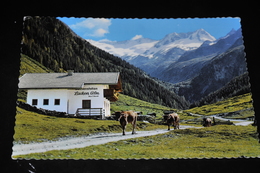 513- Hochal Gerlos, Jausenstation Lacken-Alm, Tirol - Gerlos