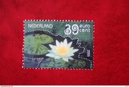 Waterlelie Water Lily NVPH 2335 C (Mi 2295) ; 2005 POSTFRIS / MNH ** NEDERLAND / NIEDERLANDE / NETHERLANDS - Nuevos