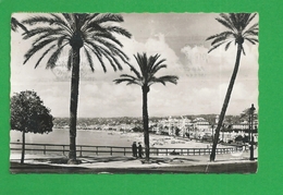 CARTE POSTALE  NICE Le Quai Des Etats Unis - Altri & Non Classificati