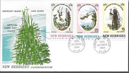 1969 NOUVELLES HEBRIDES  PREMIER JOUR  PENTECOST ISLAND - FDC