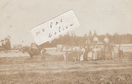 LONGJUMEAU -  Dans Les Champs .....  ( Carte Photo ) - Longjumeau