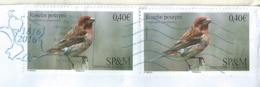 Lettres ST PIERRE ET MIQUELON Theme OISEAUX LE ROSELIN POUPRE - Briefe U. Dokumente