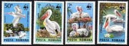 ROUMANIE WWF. Pelicans. Yvert N° 3543/46 ** Neuf Sans Charniere. MNH. - Unused Stamps