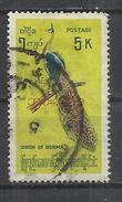 MYANMAR 1968 - GREEN PEAFOWL (PAVO MUTICUS) - USED OBLITERE GESTEMPELT USADO - Paons