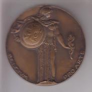 BELGIUM PRO ARTE - Médaille Du Gouvernement Pour Chant - Unternehmen