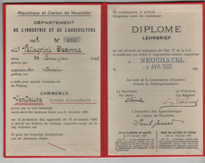 Diplôme Apprenti De Commerce Lehrbrief  Neuchâtel Pellegrini 1922 Vendeuse Denrées Alimentaires - Diplomi E Pagelle