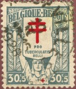 COB  235-V 3 (o)  Taches Rouges De La Surcharge En Divers Endroits - 1901-1930