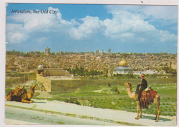 ISRAEL ,JERUSALEM ,yéroushalaim,OLD CITY,VIEILLE VILLE,MONT DES OLIVIERS - Israele