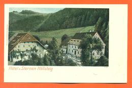 CPA Lithographie Chromo " Hotel Sternen Hollsteig "  LJCP 40 - Bretten