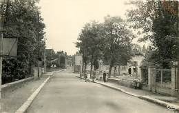 SAINT AMAND EN PUISAYE GRANDE RUE - Saint-Amand-en-Puisaye