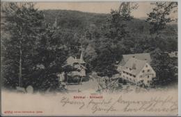 Sihltal - Sihlwald - Photoglob No. 4664 - Wald