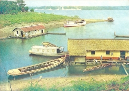 BR - Manaus - Amazonas : Casas Flutuantes No Rio Negro - Floating Houses... - Casas Flotantes... - Ed. Ambrosiana N° 501 - Manaus